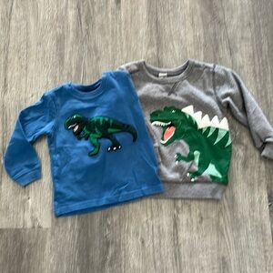 Dino sweatshirt bundle